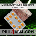 Male Silkworm Moth Nourishing Oral Liquid new13